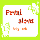 První slova - Urdu ícone