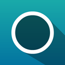 Insane Circle Free APK