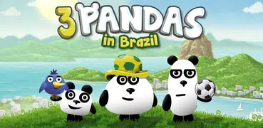 3 Pandas in Brazil