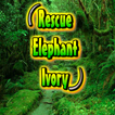 Rescue Elephant