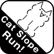 Cat slope run and jump!