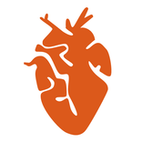 Risco Cardiovascular