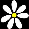 Гадание Ромашка APK