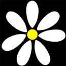 Гадание Ромашка APK