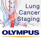 Lung Cancer Staging Table آئیکن