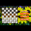 Supreme Checkers Game