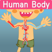 Human Body BU