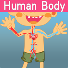 Human Body BU ไอคอน