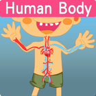 Human Body BU icône