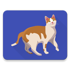 Train Cat do Tricks ikona