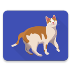 Train Cat do Tricks icon