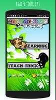 Train Cat do Tricks plakat