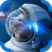 Find the cat APK