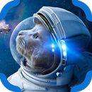 Find the cat APK