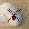 bug killer APK