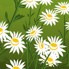 FlowerForestEscape icône