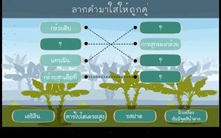 กล้วยเล็บมือนาง capture d'écran 3