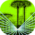 GeoGarden