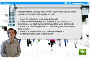 Equality & Diversity eLearning capture d'écran 2