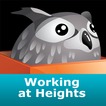 Working at Heights