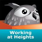 Working at Heights-icoon