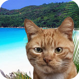 Find the cat on vacation icon