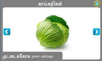 Vegetables tamil Affiche