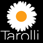 Tarolli ícone