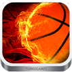 Dünya Basketbol Oyunu