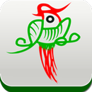 麻将馆 APK