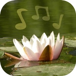 Звуки природы с анимацией