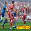 Guide PES 2015
