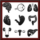 Human Anatomy: Body Parts Guide APK