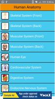 Human Anatomy: Body Parts Guide Cartaz