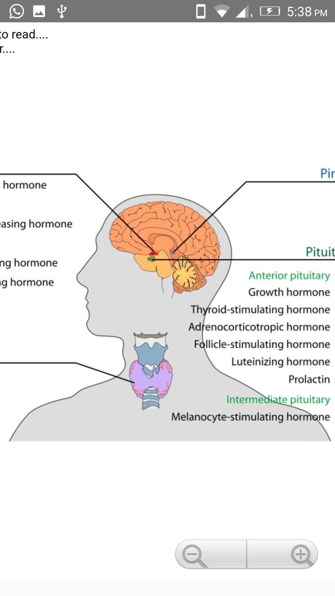 Human Anatomy: Body Parts Guide for Android - APK Download