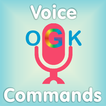 ”Voice Commands Guide