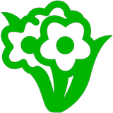 Flower Power icône