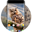 Owl Theme for Alcatel One Touch Pop C1 APK