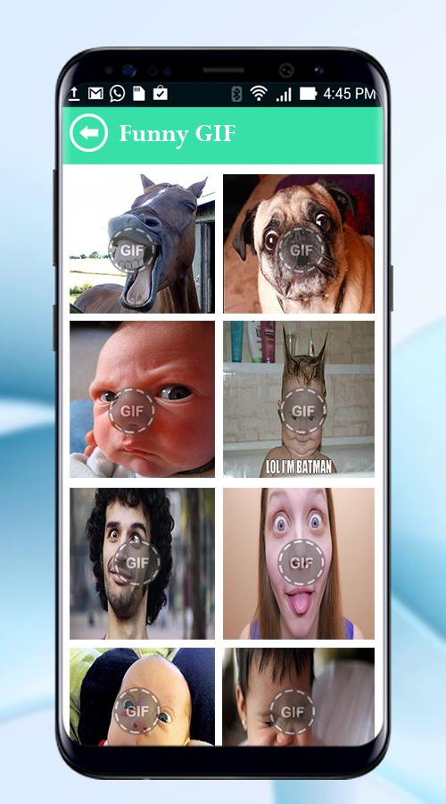 Funny Gif 2018 - Animal Animated Gif For Whatsapp für Android - APK