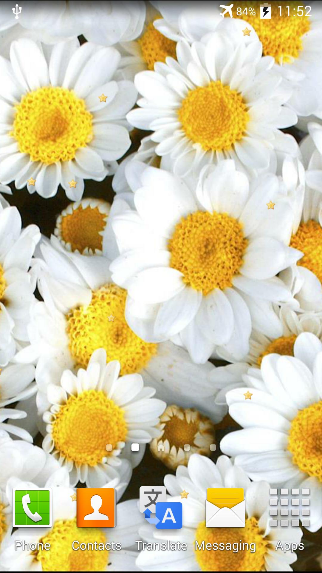Unduh Kumpulan Wallpaper Animasi Bunga Gratis Unduh Kumpulan Wallpaper Animasi Bunga Gratis