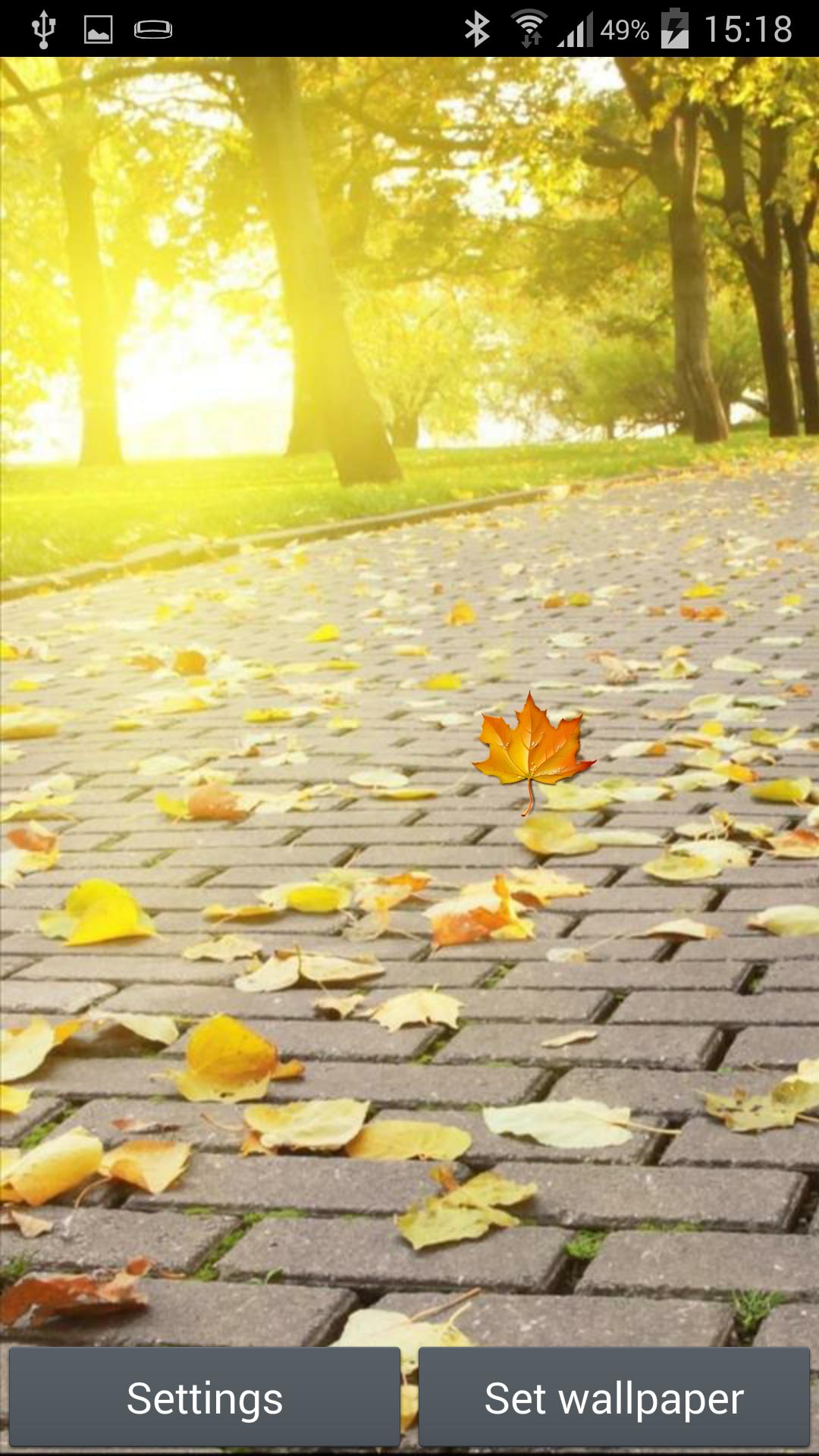 Download 6000 Wallpaper Animasi Daun HD Paling Keren Download 6000 Wallpaper Animasi Daun HD Paling Keren