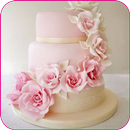 Gâteaux de mariage APK