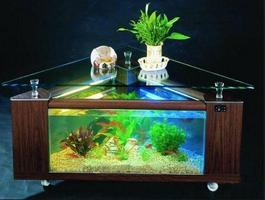 Aquarium Royale penulis hantaran