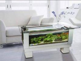 Aquarium Royale syot layar 2