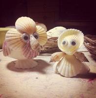 Shell crafts پوسٹر
