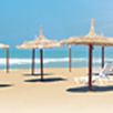 Bovo Marina APK