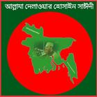 Delawar Hossain Sayedee ikon