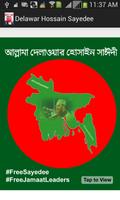 Delawar Hossain Sayedee স্ক্রিনশট 1