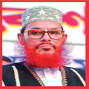 APK Allama Delawar Hossain Sayedee