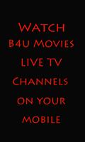 B4u Movies Affiche